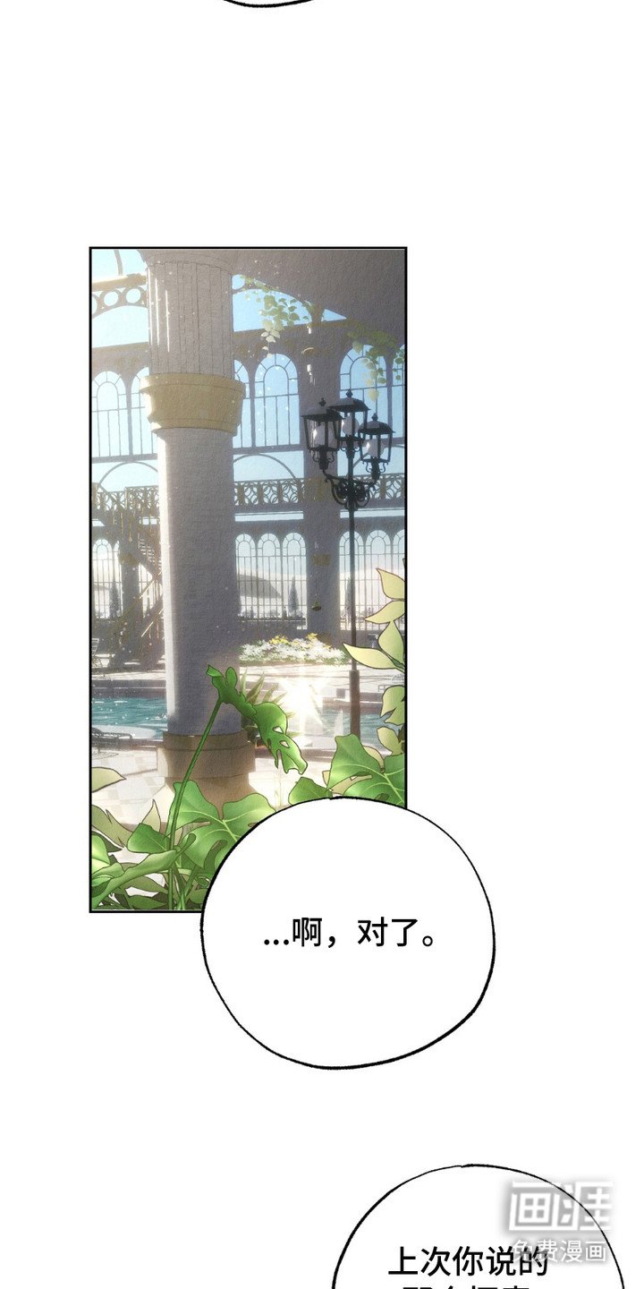 第5章：派系