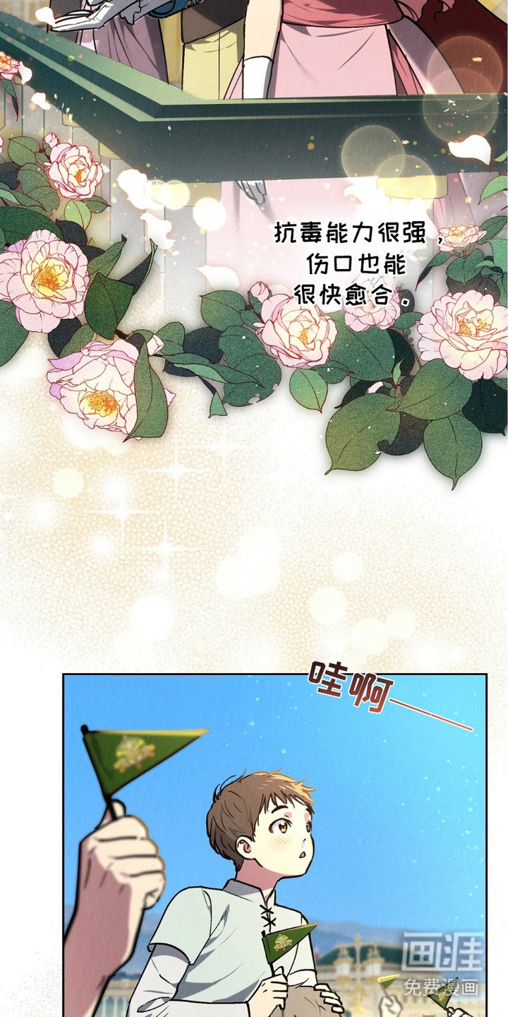 第6章：血脉