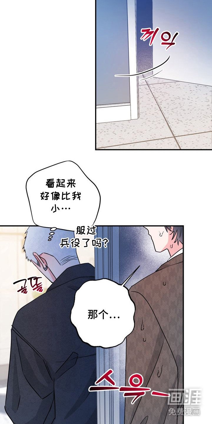 第5章：理想型