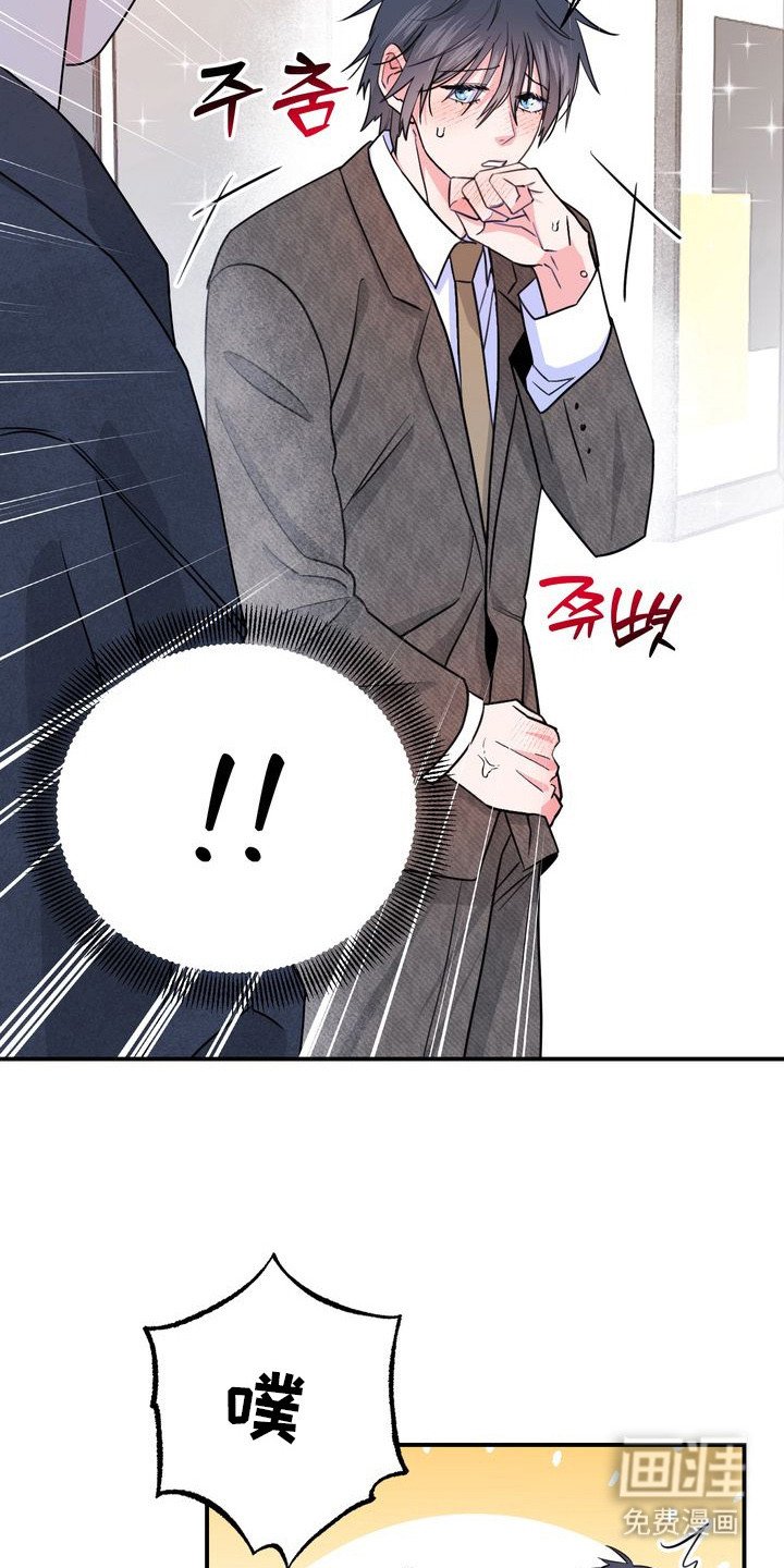 第5章：理想型