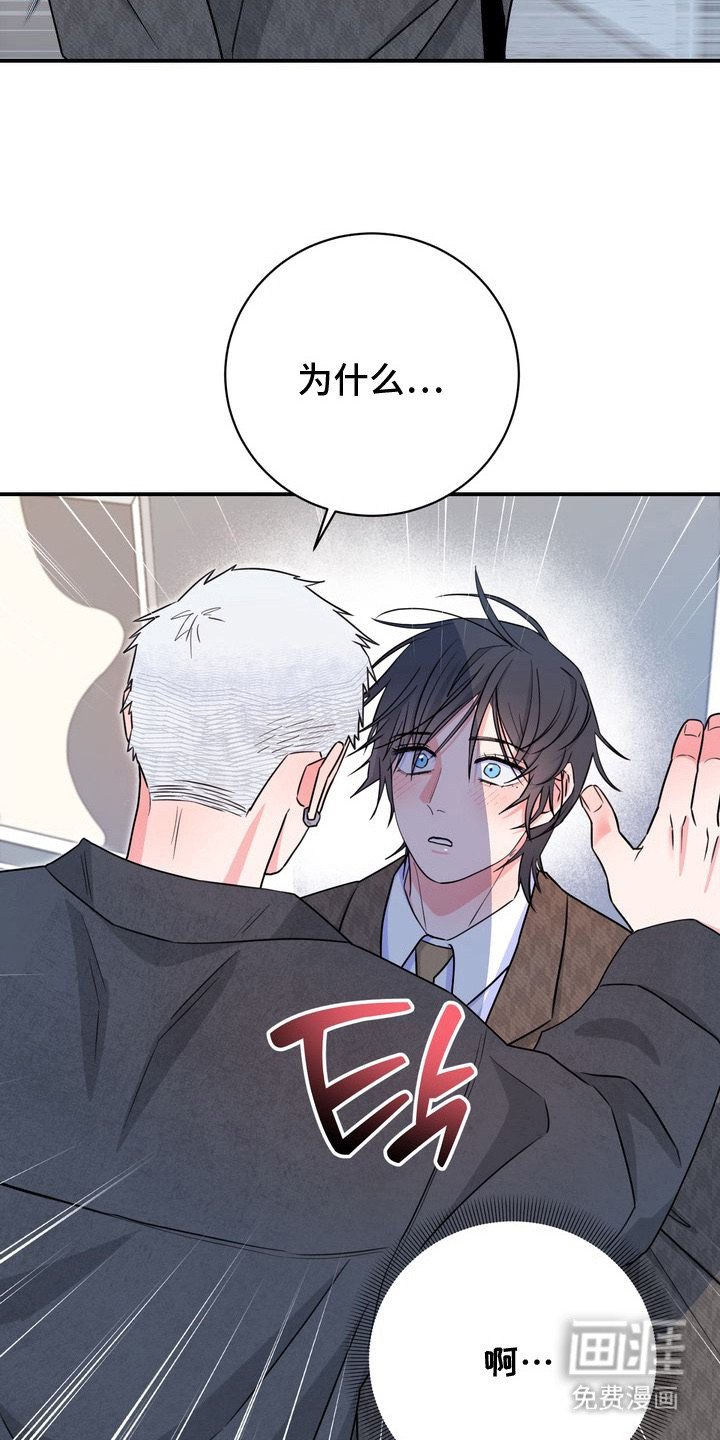 第5章：理想型