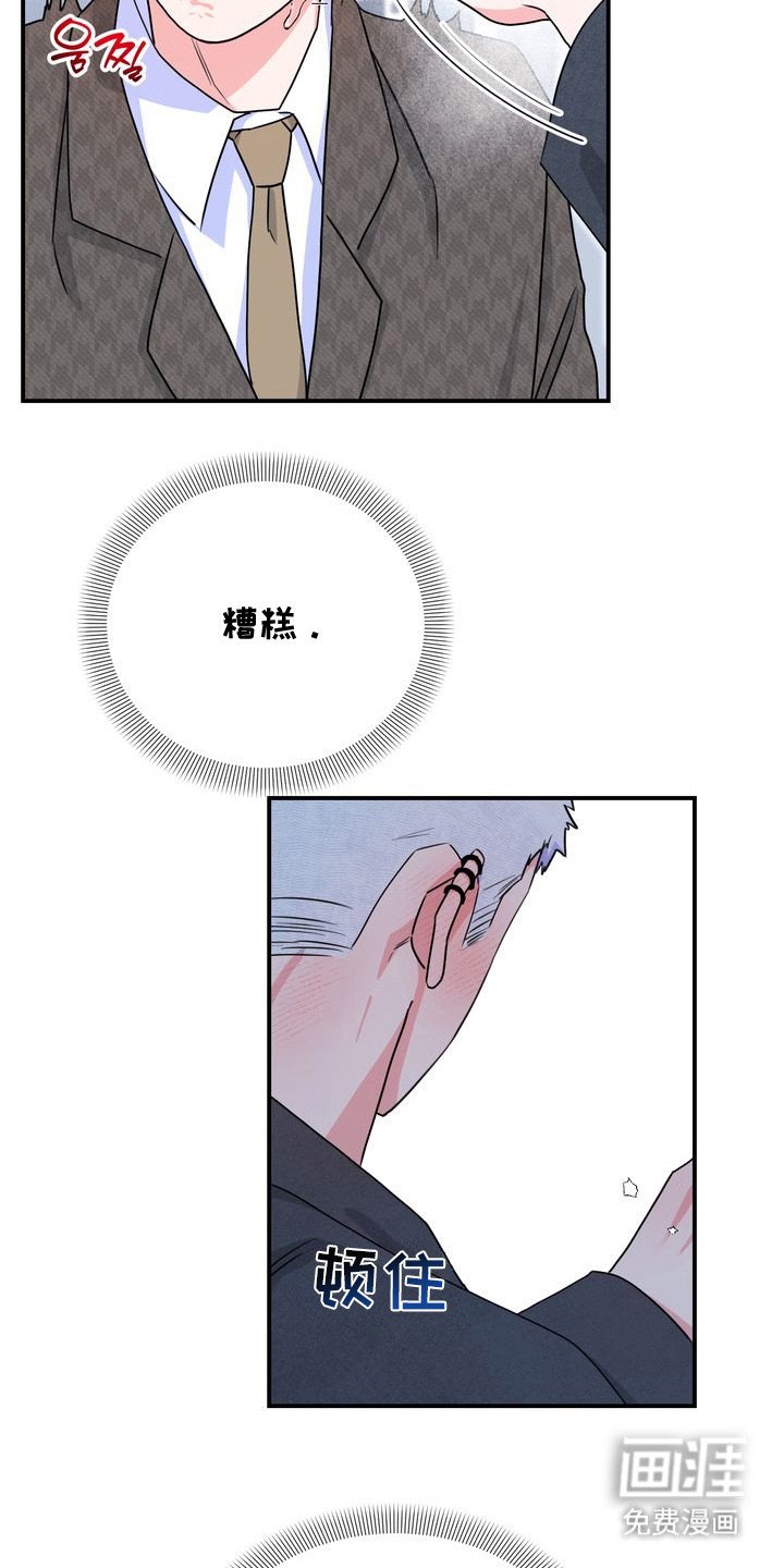 第5章：理想型