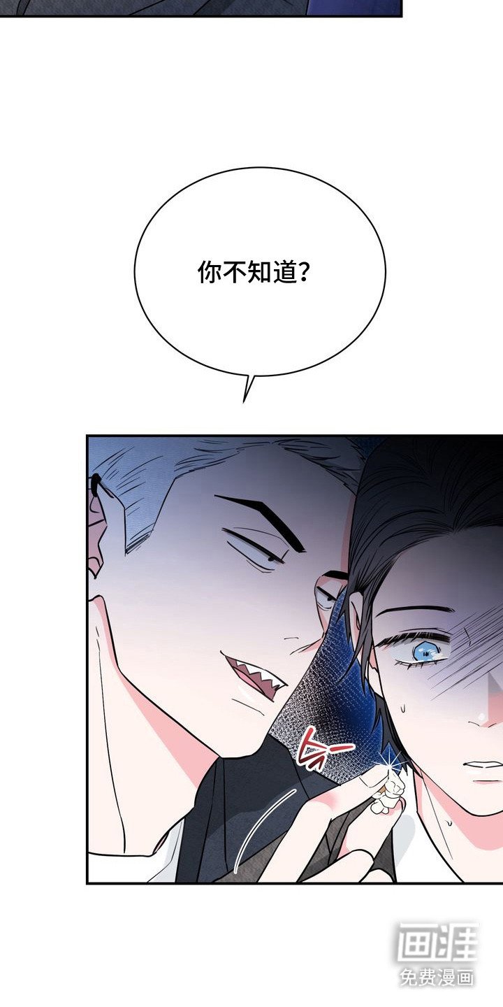 第6章：恐怖电影