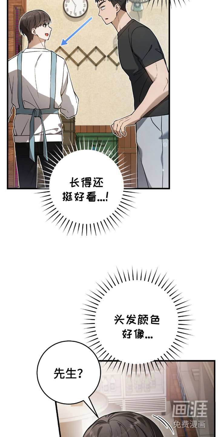 第16章：心大
