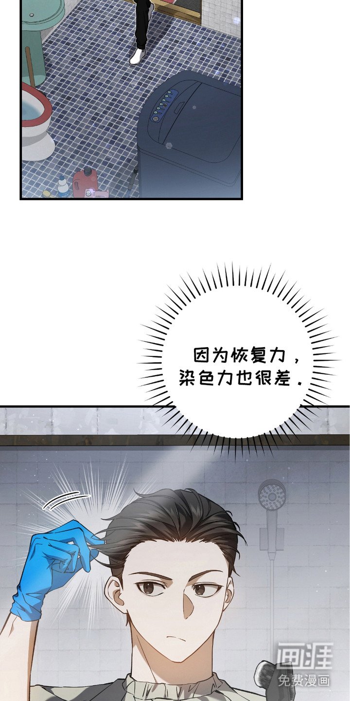 第17章：染发