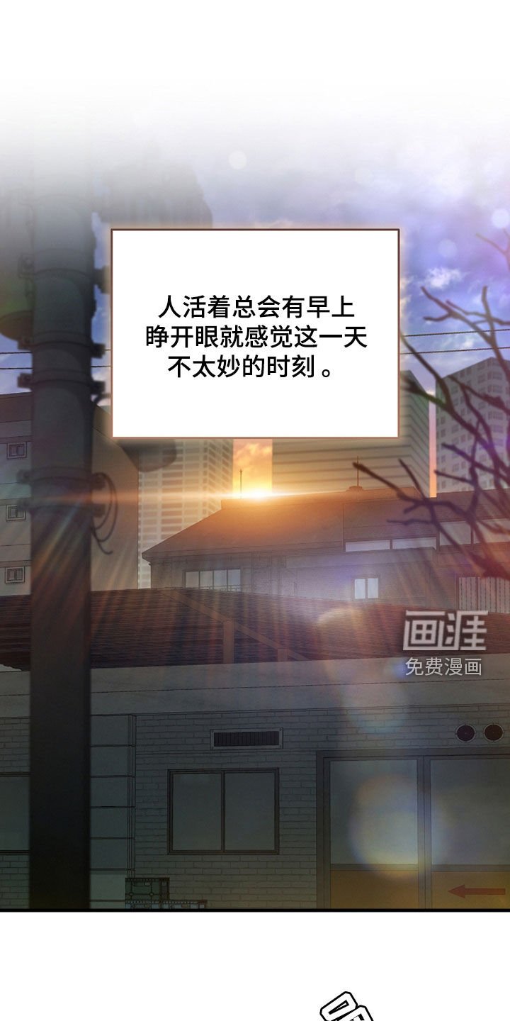 第20章：今日运势