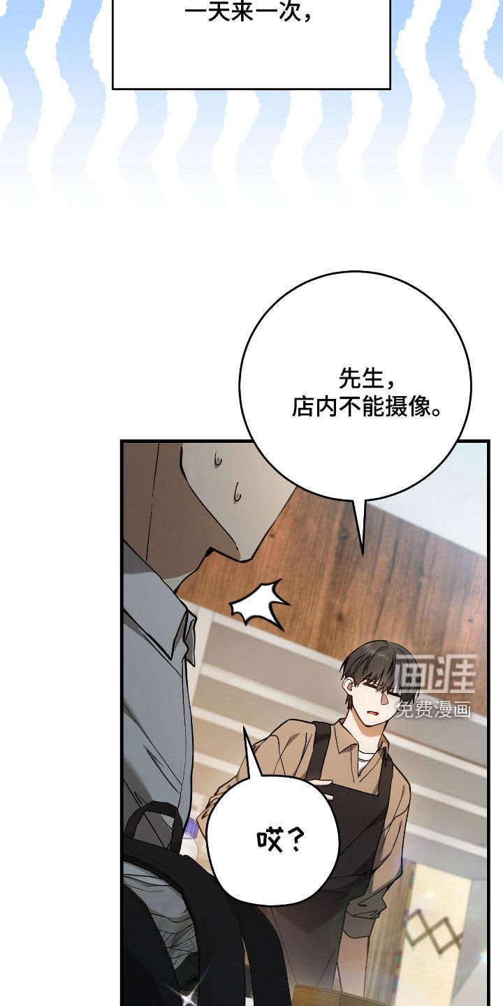 第29章：蜜蜂小姐