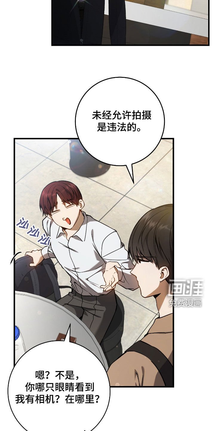 第29章：蜜蜂小姐