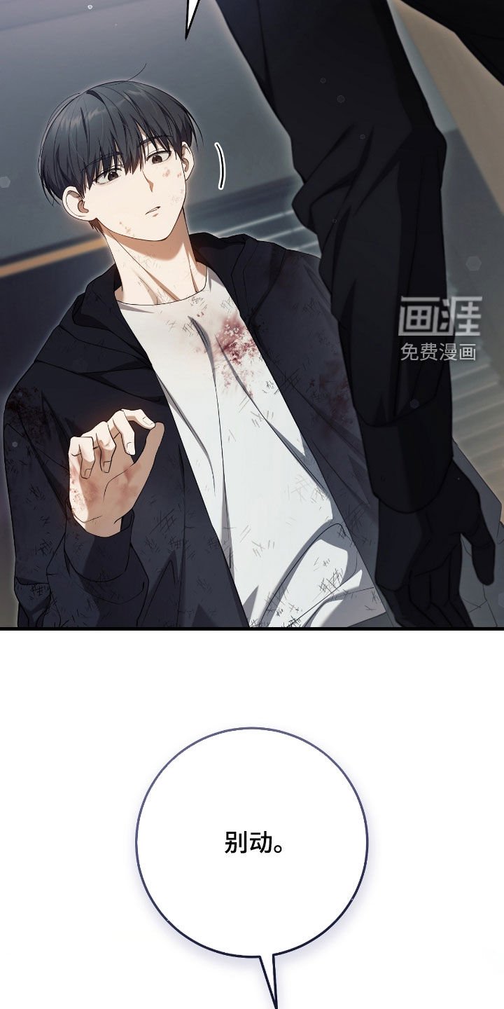第53章：别动
