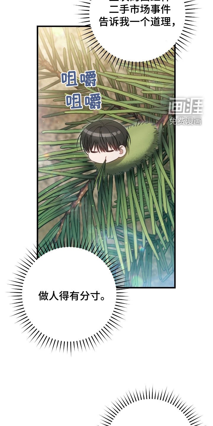 第62章：价值连城