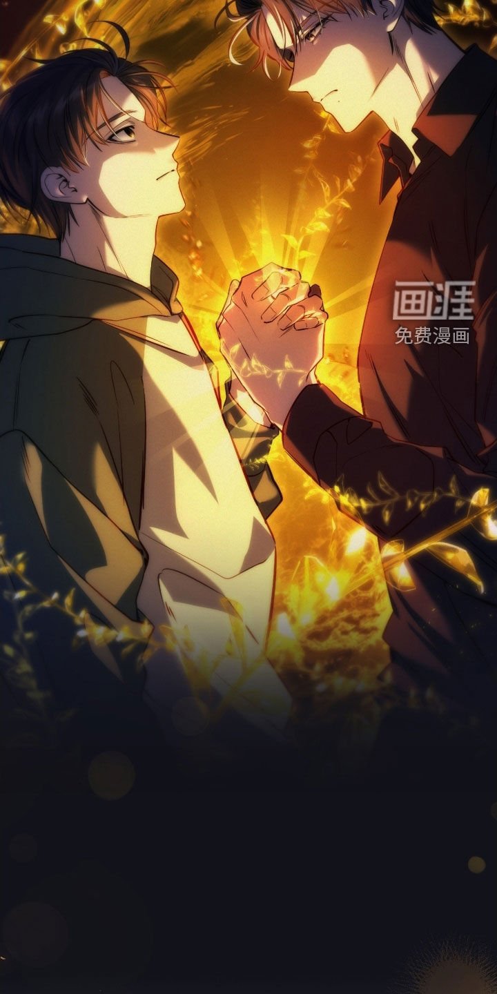 第70章：调查报告