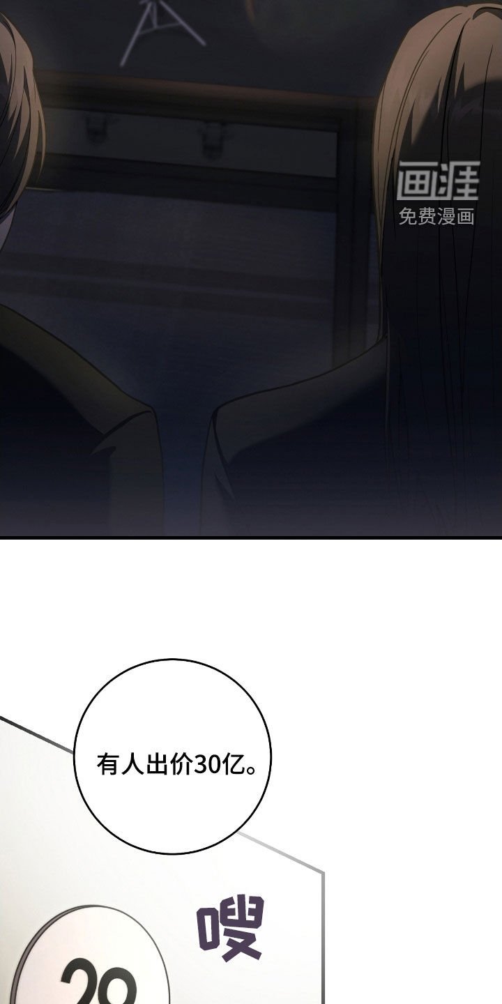 第73章：竞拍取消