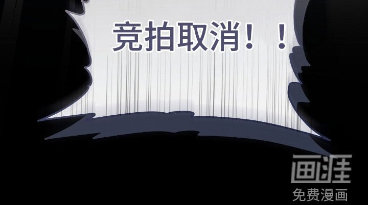 第73章：竞拍取消