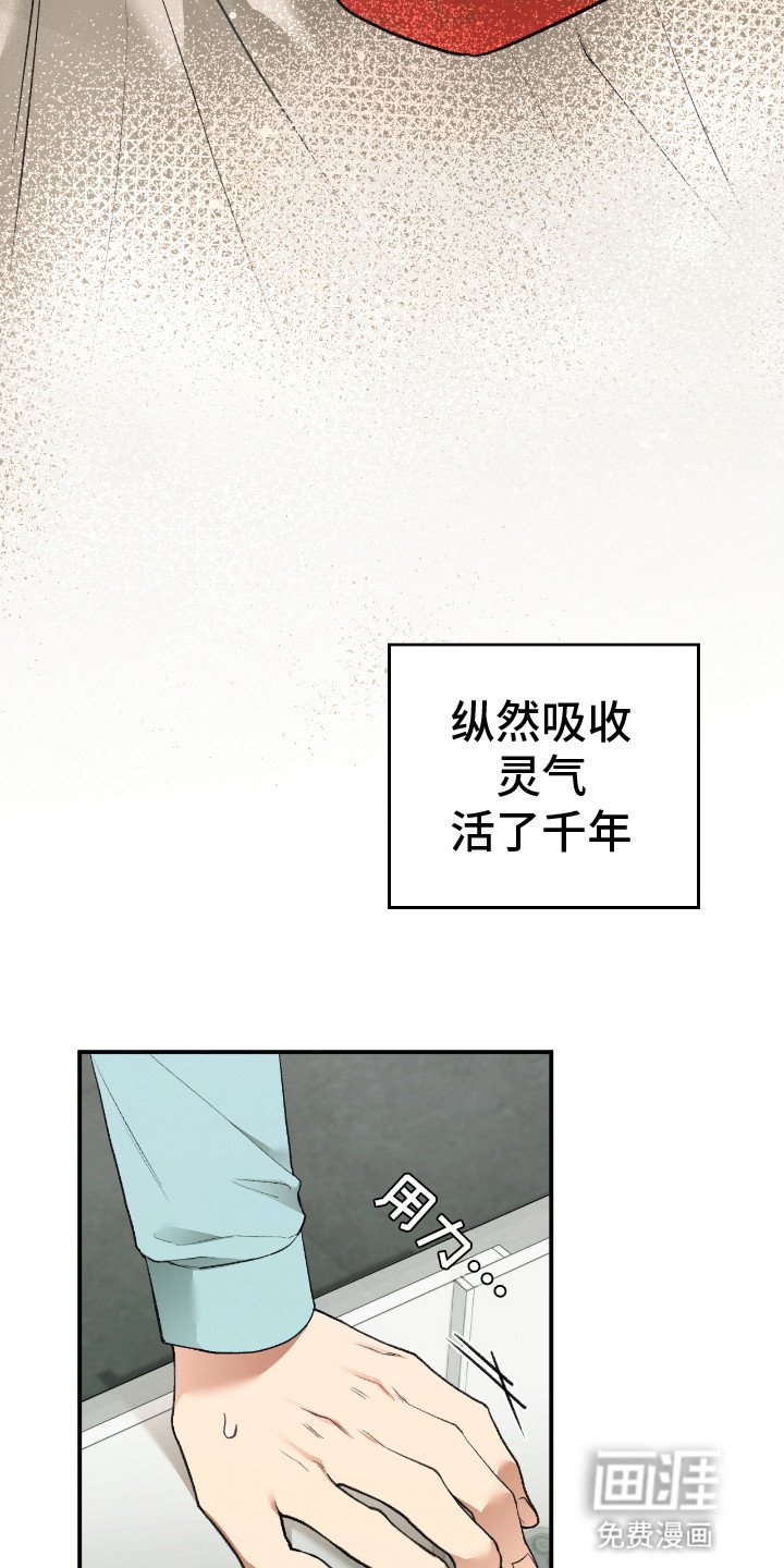 第10章：真身