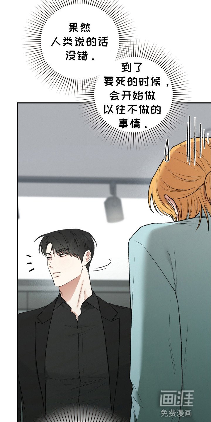 第10章：真身