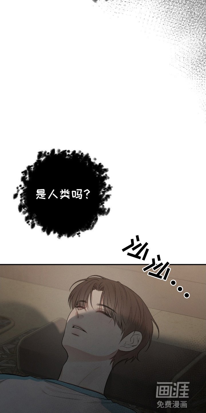 第18章：危机