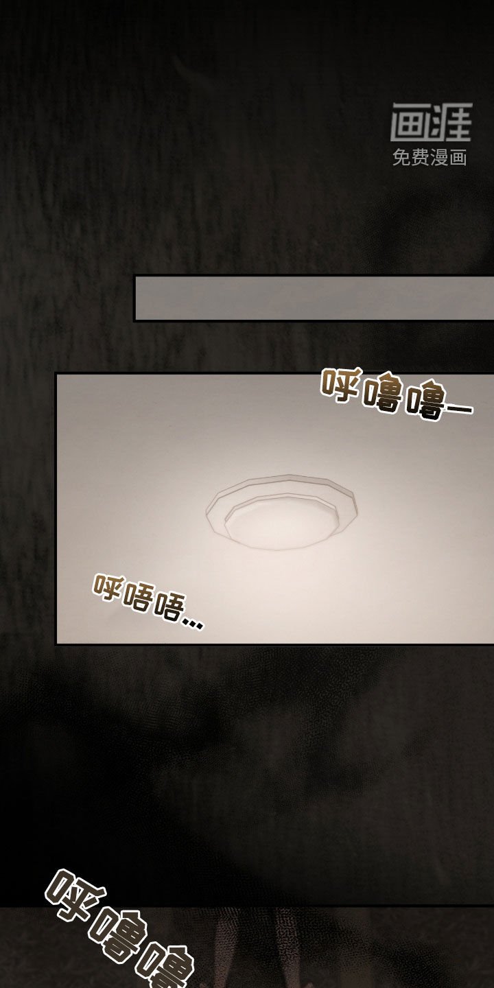 第20章：到底怎么回事