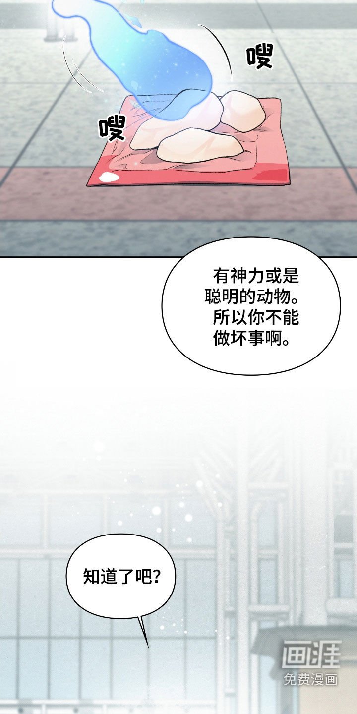 第21章：最后一次