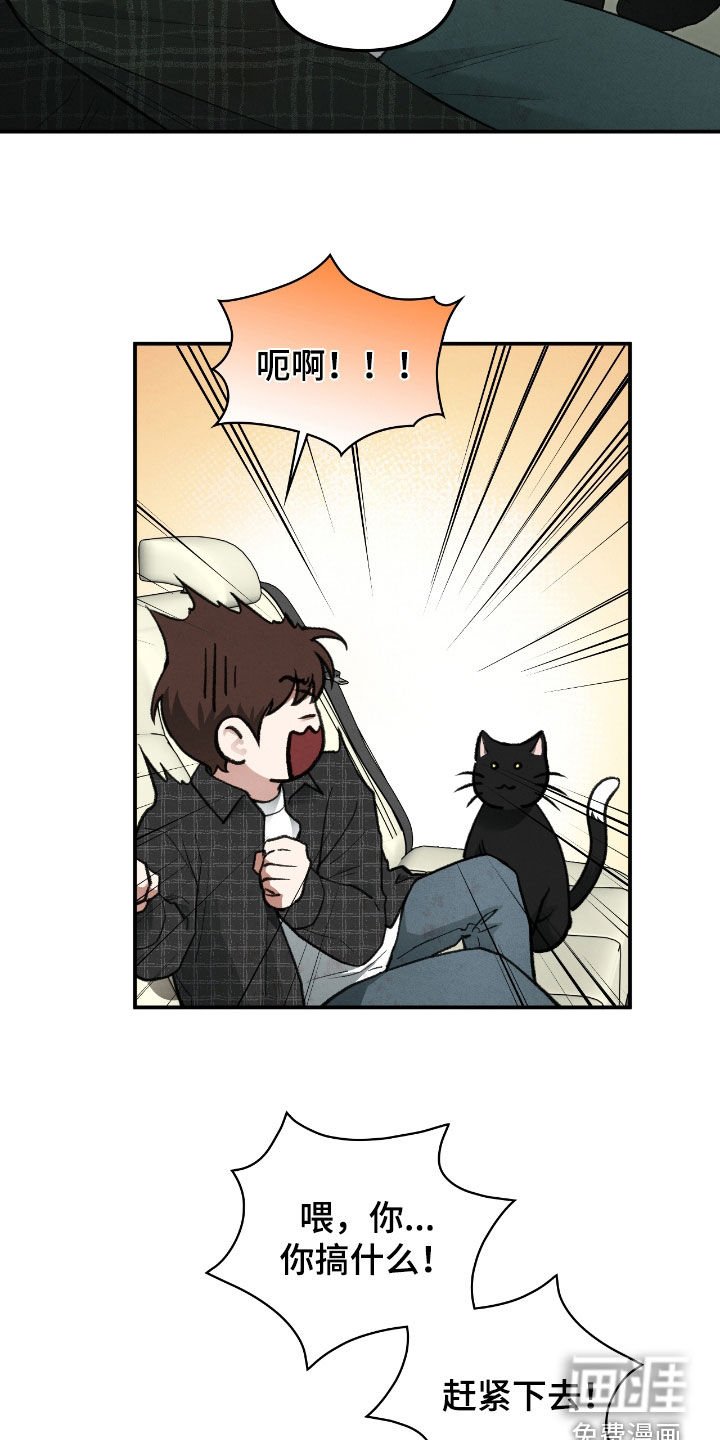 第38章：要趁早