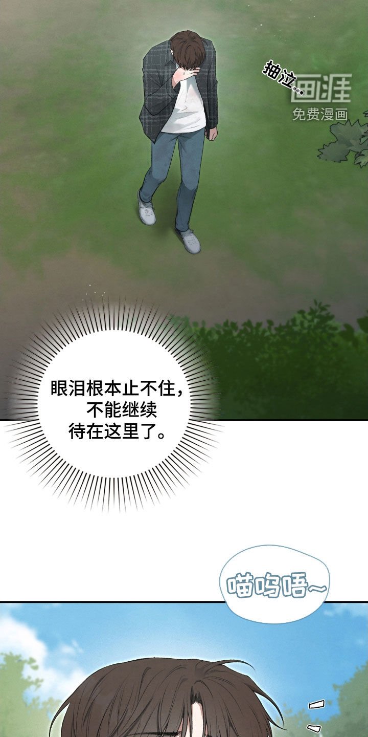 第39章：止不住眼泪