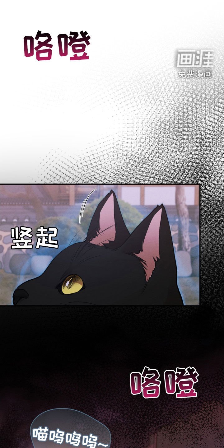 第40章：逃不掉