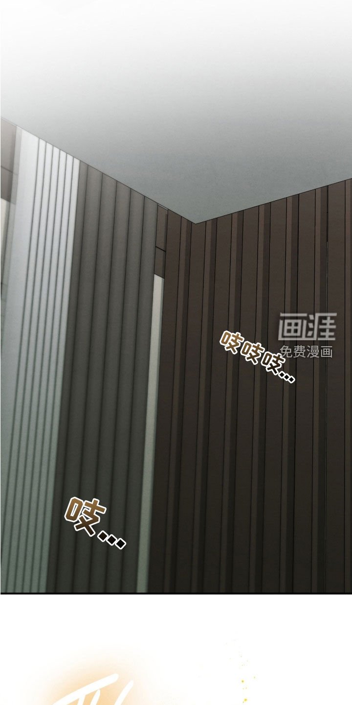第41章：线笔