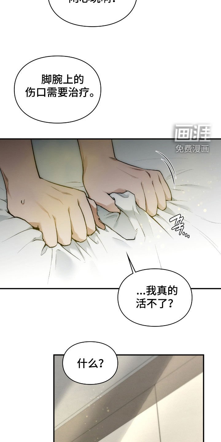 第41章：线笔