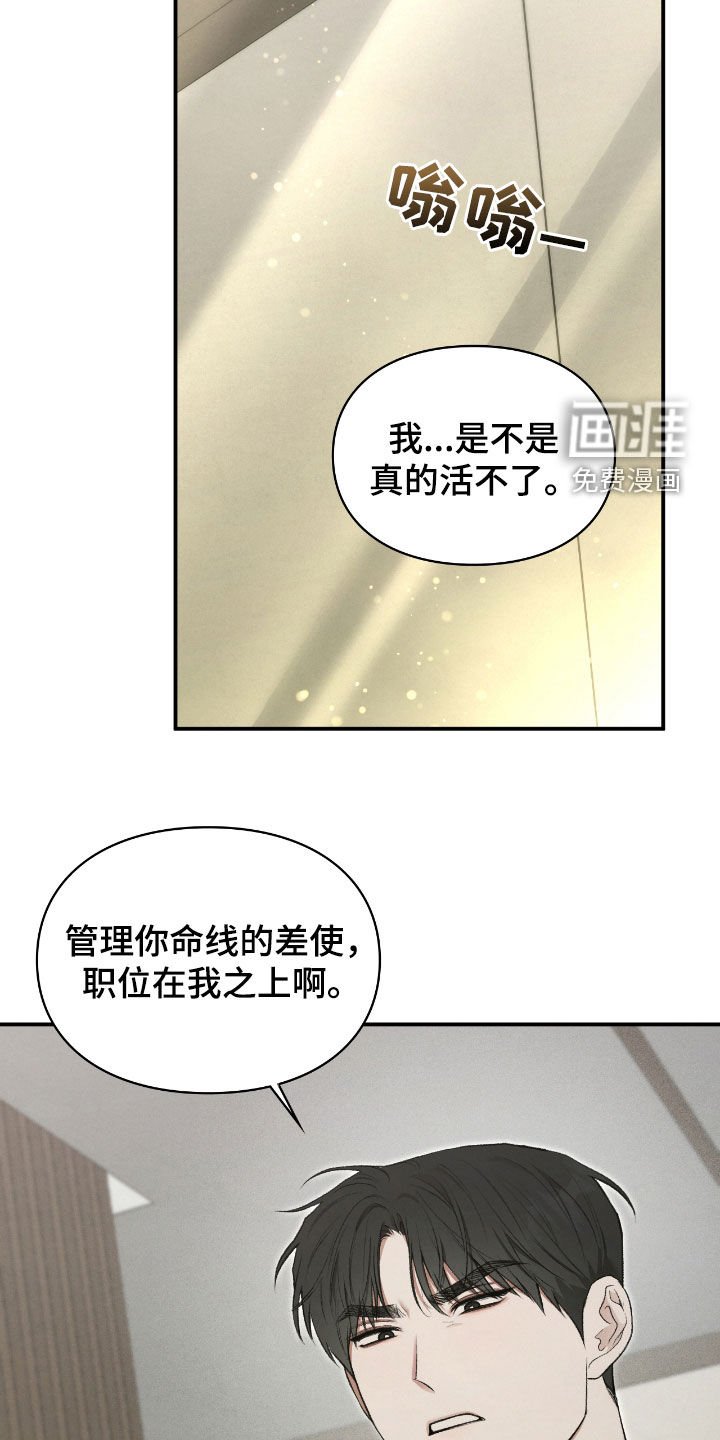 第41章：线笔