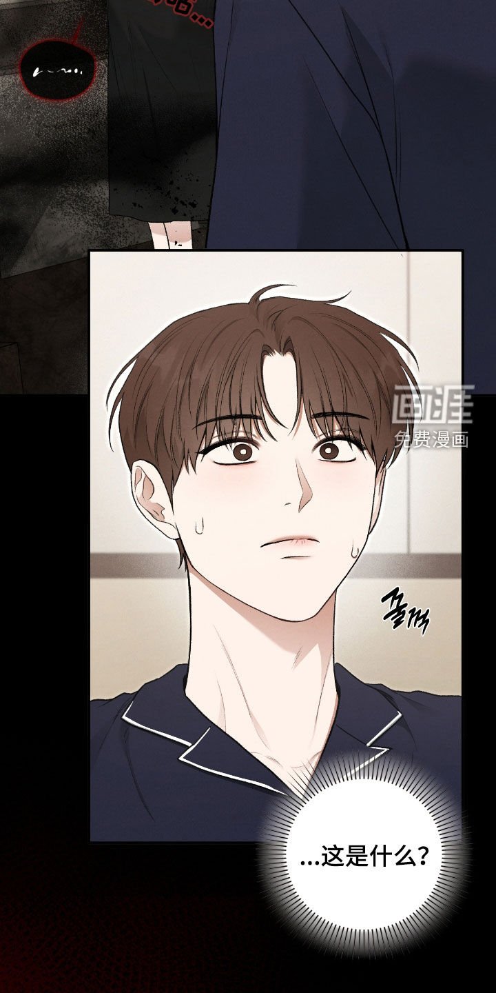 第47章：幻觉