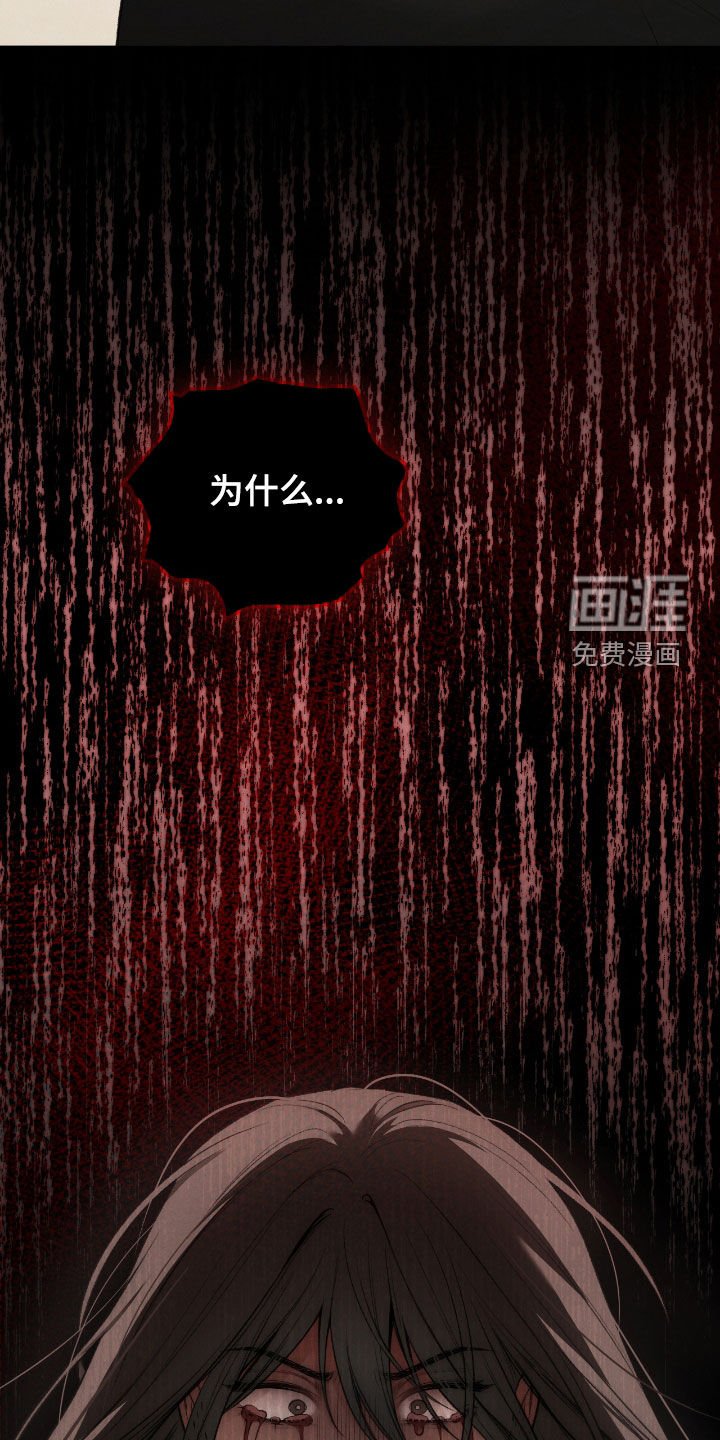 第47章：幻觉