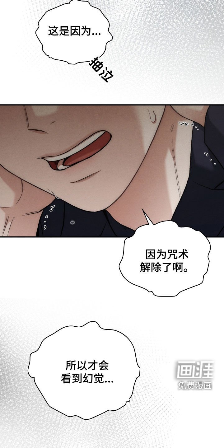 第47章：幻觉