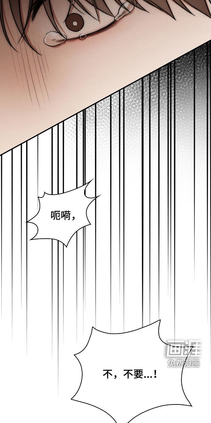 第47章：幻觉