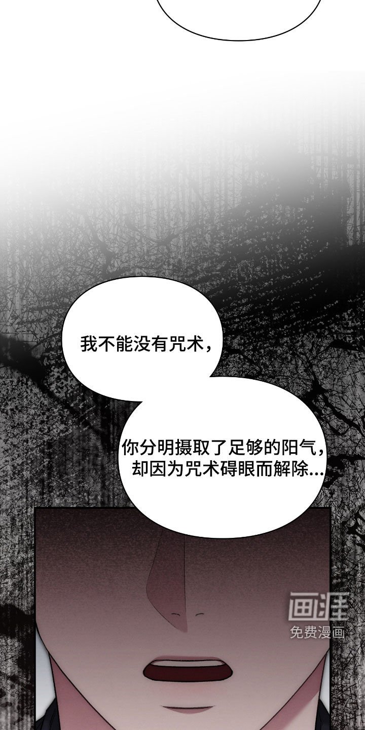 第47章：幻觉