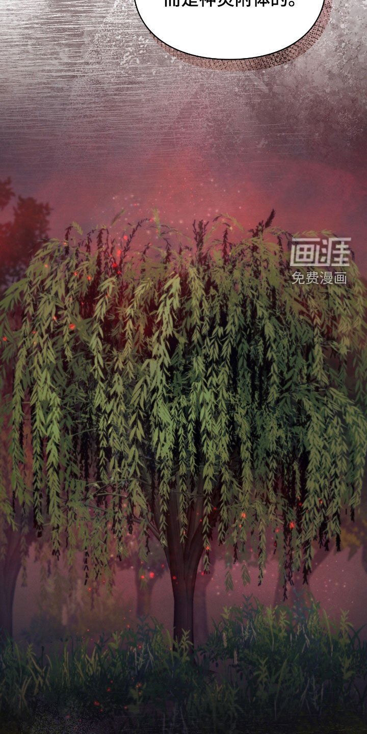 第48章：提升实力