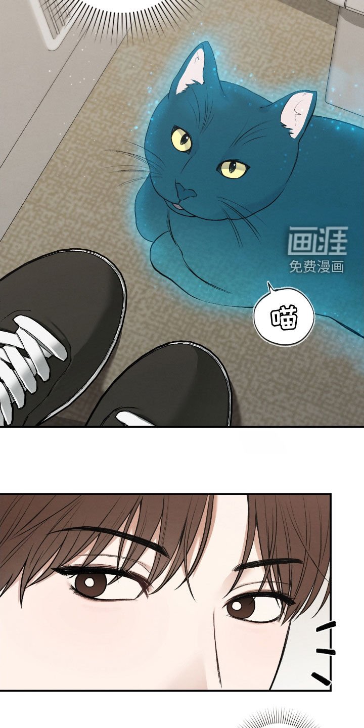 第51章：总是捉弄我