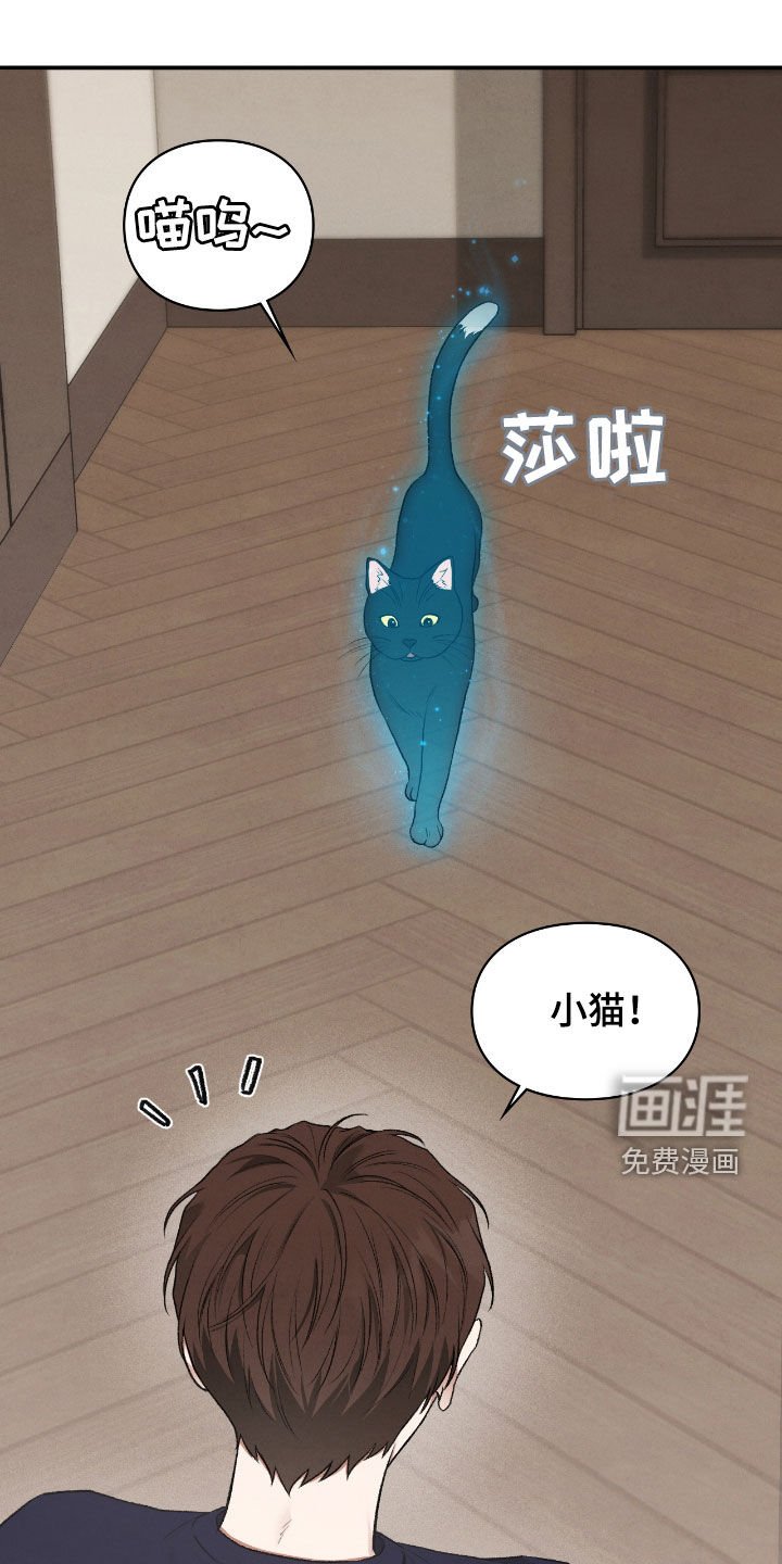 第53章：感觉好奇怪