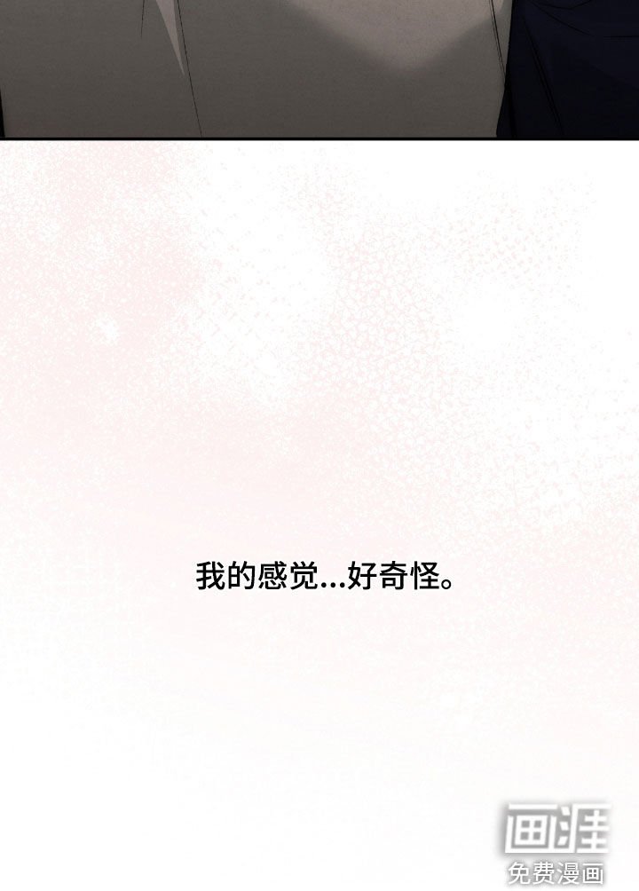 第53章：感觉好奇怪