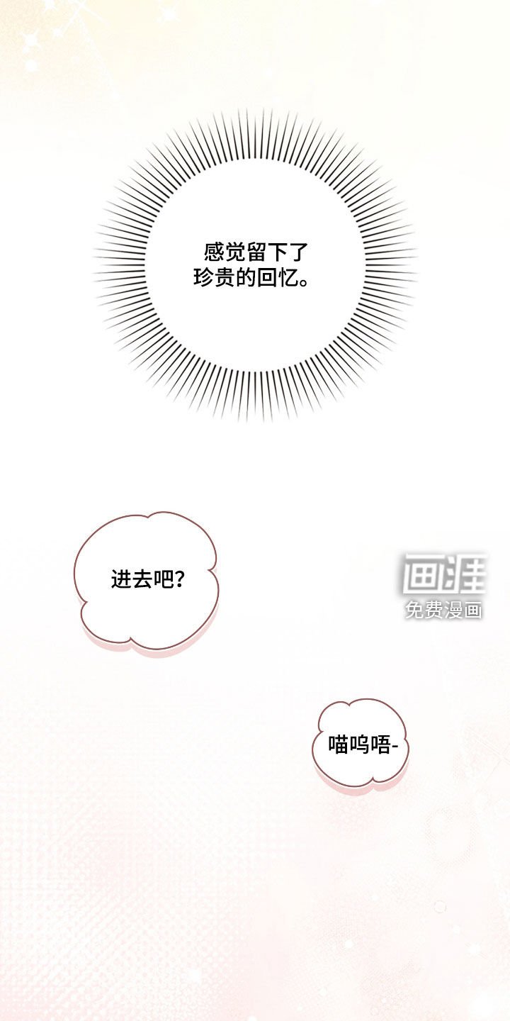 第56章：别固执