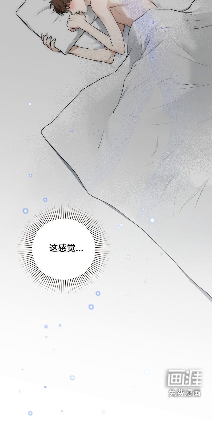 第57章：继任者
