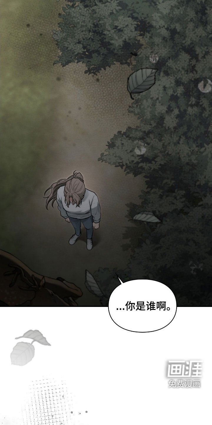 第65章：眼中的爱意