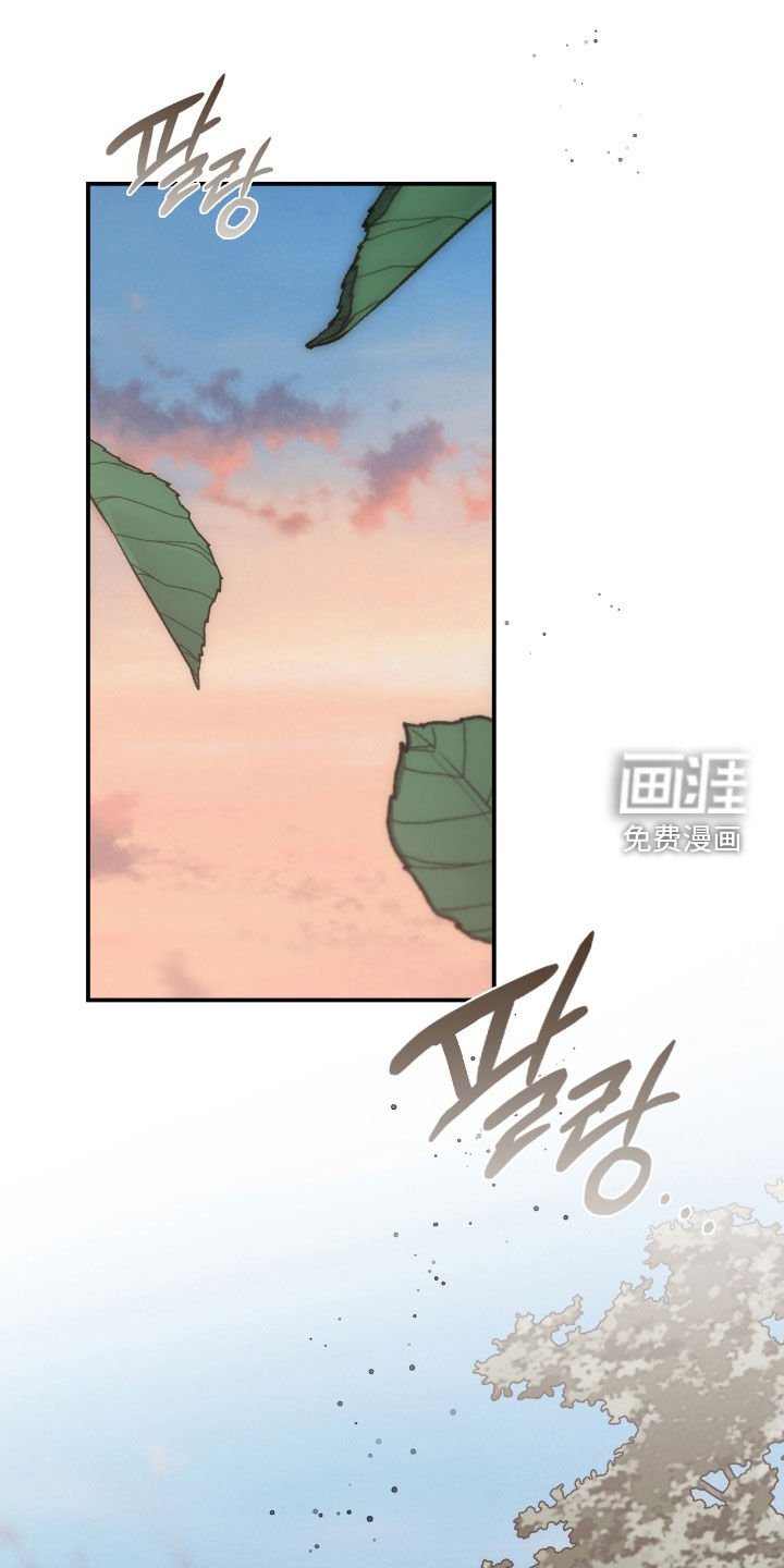 第65章：眼中的爱意