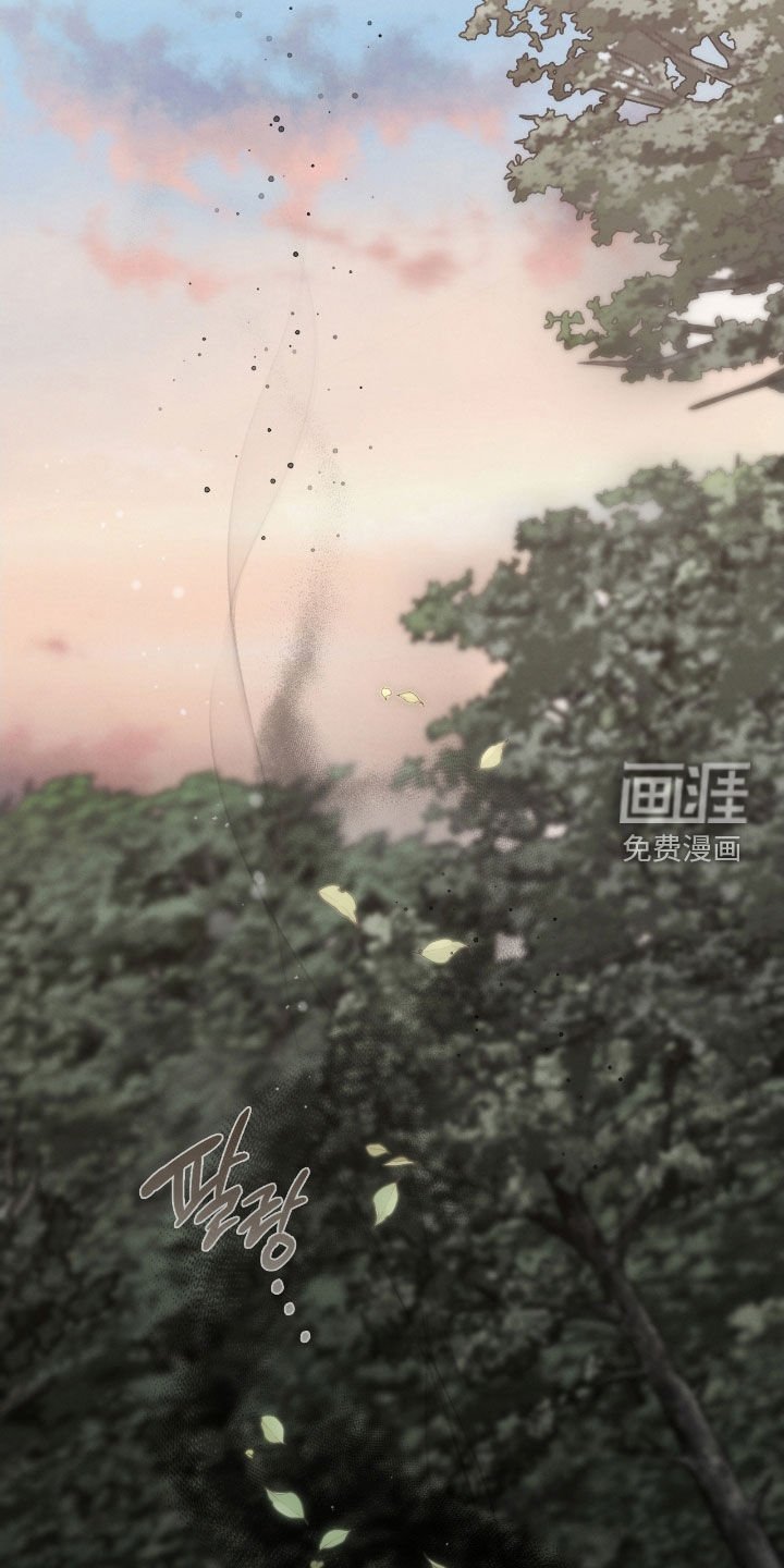 第65章：眼中的爱意