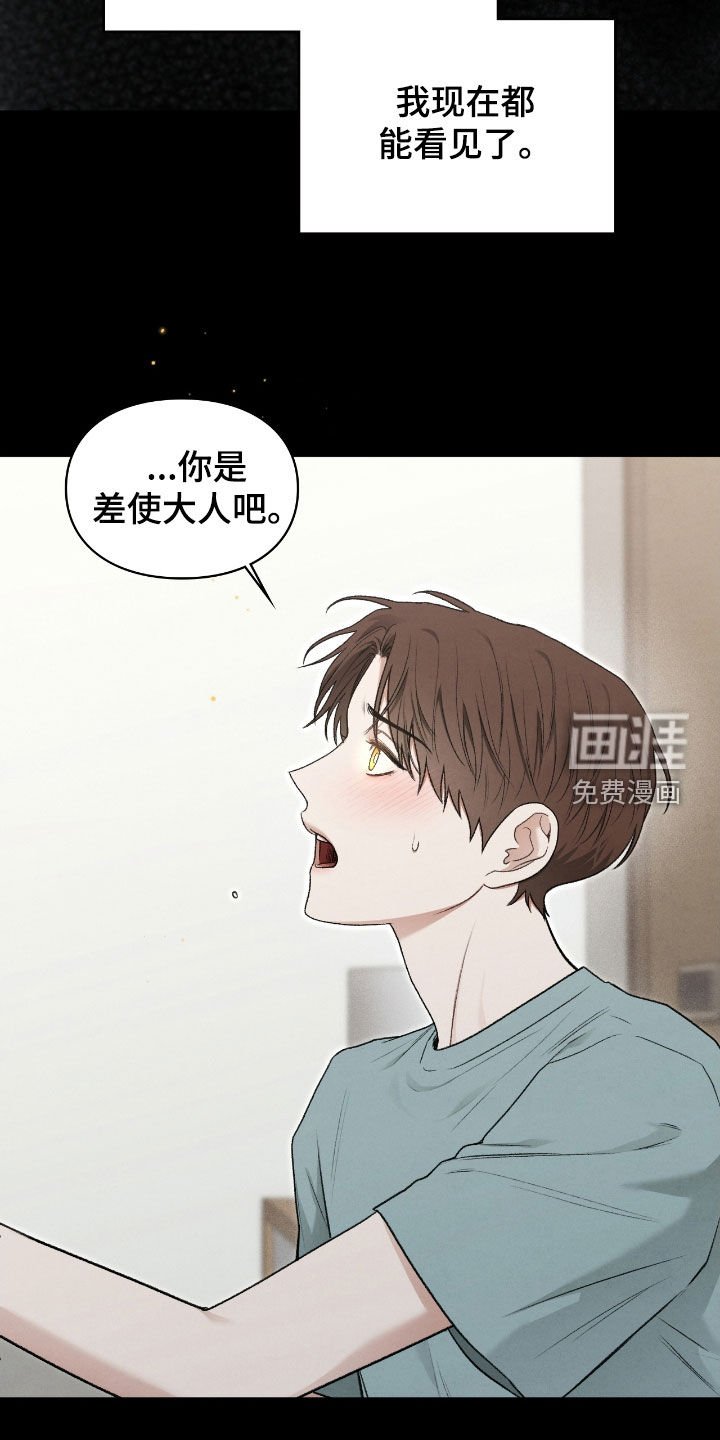 第65章：眼中的爱意