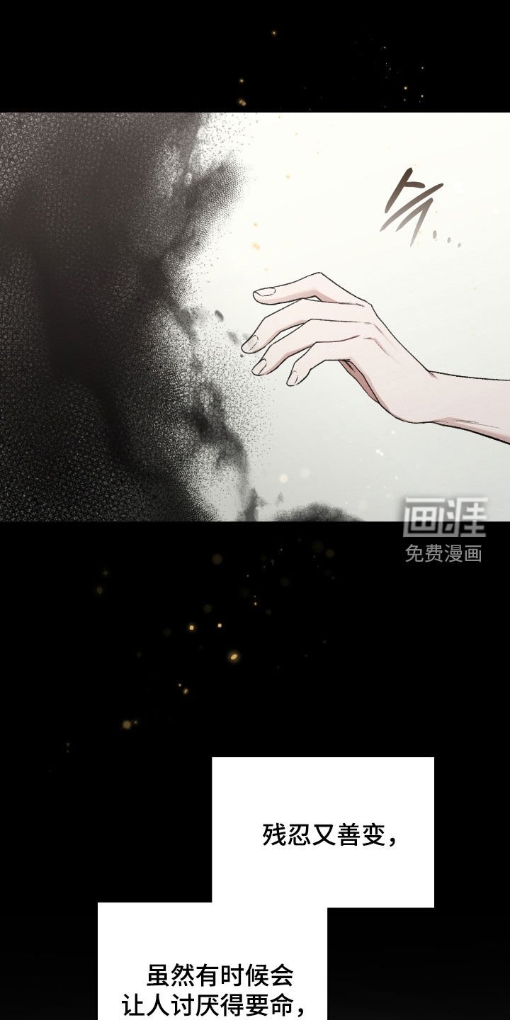 第65章：眼中的爱意