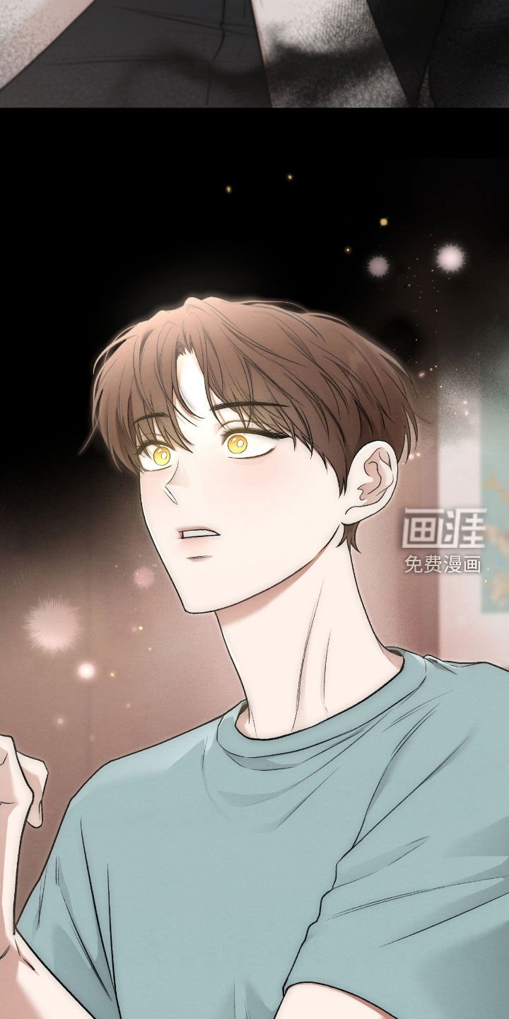 第65章：眼中的爱意