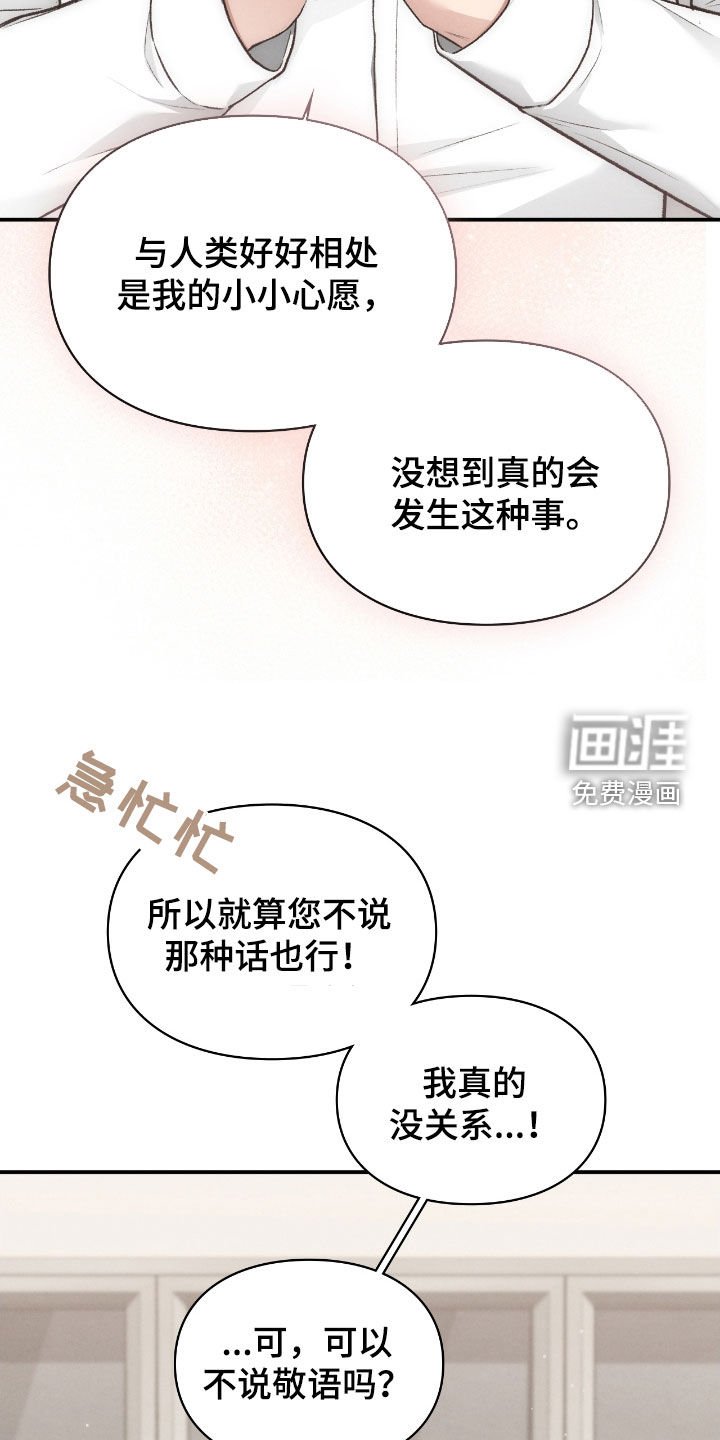 第65章：眼中的爱意