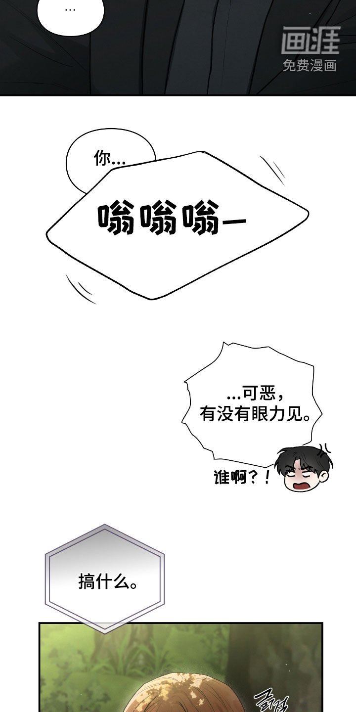 第73章：山蟾蜍
