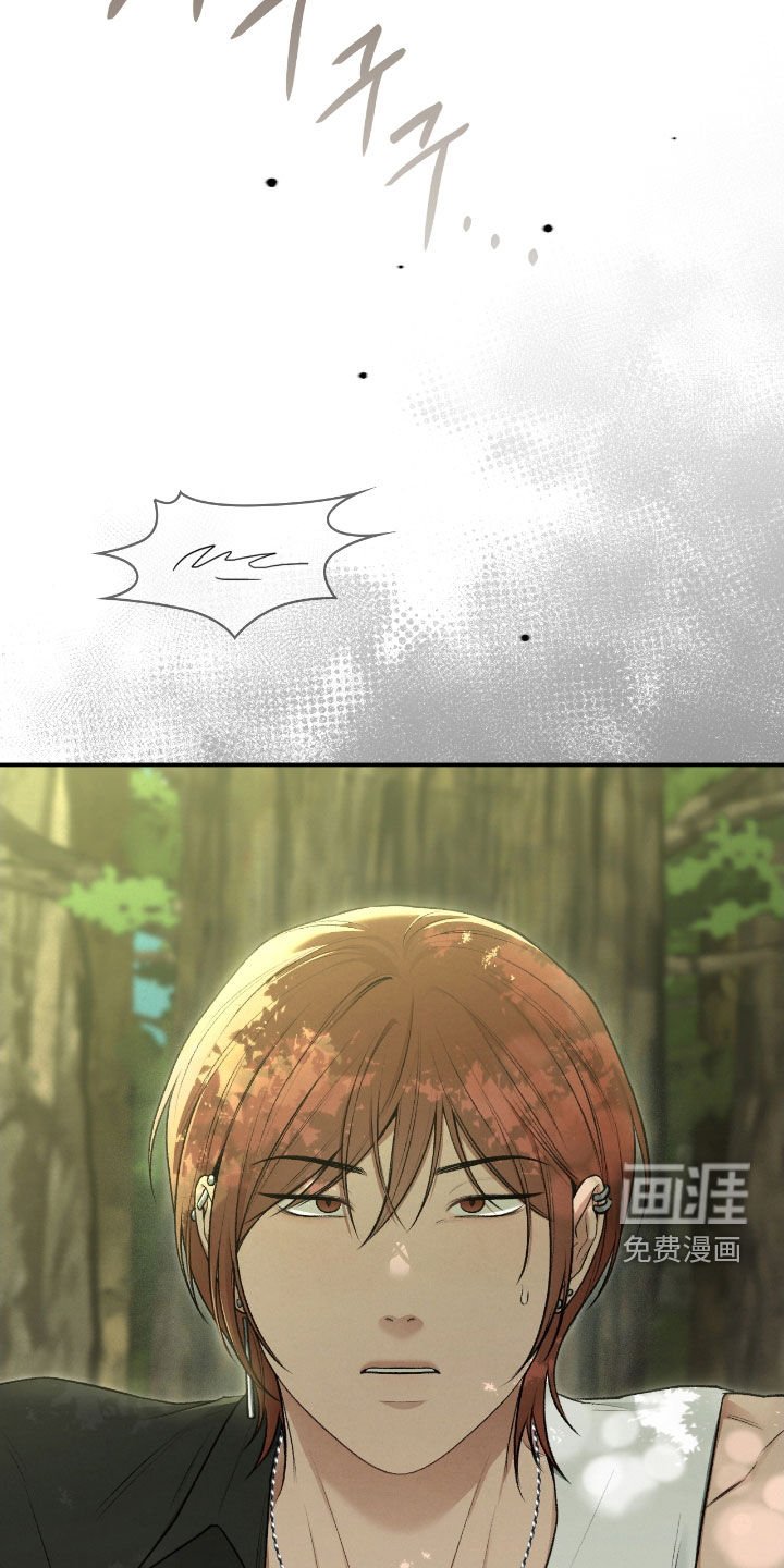 第73章：山蟾蜍