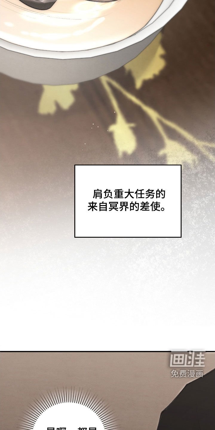 第74章：故事