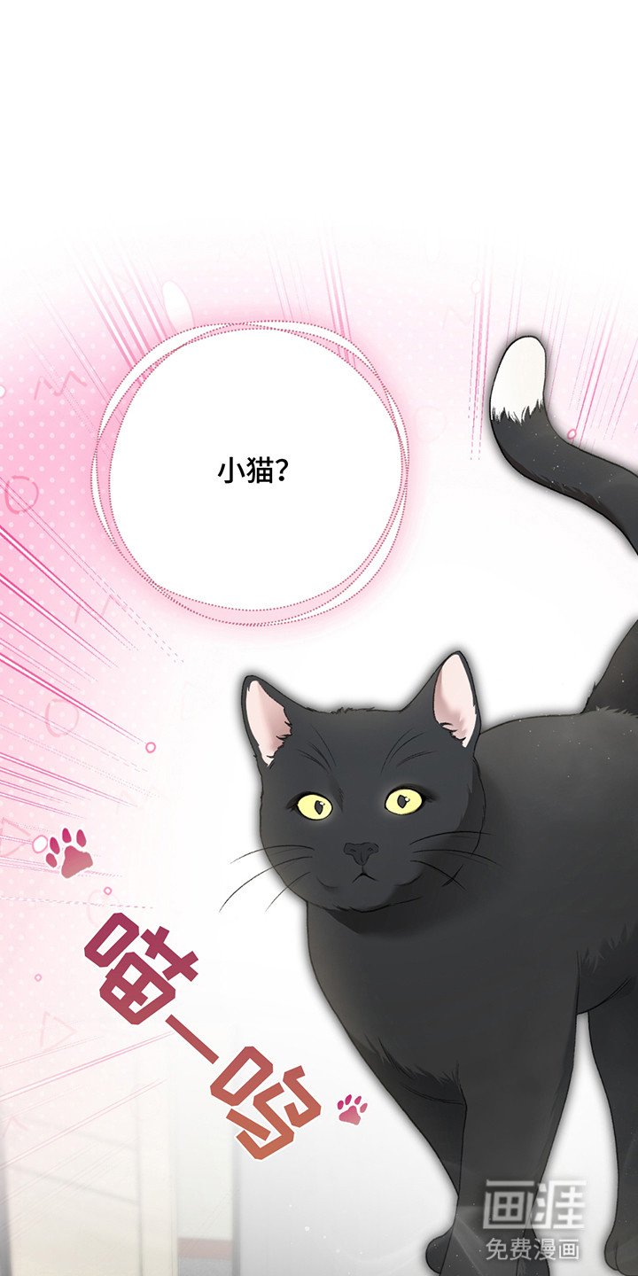 第8章：小黑猫